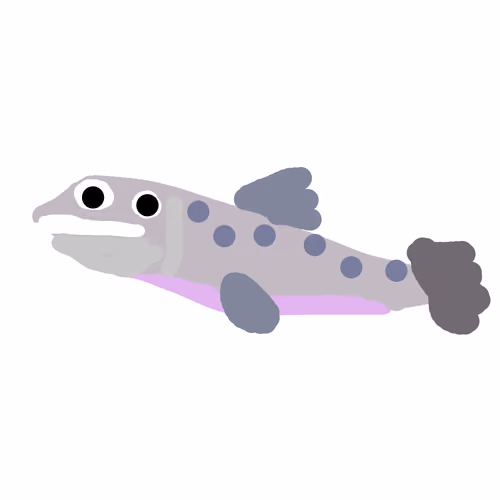 Salmon
