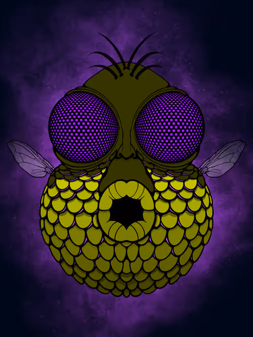 Item #57953586448607426178149230695040157655765291849505603388656581027374171160577 Media