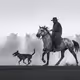A Wild Spirit