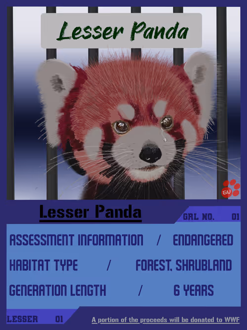 Item #29794620023727816326169776907432812576666146443669256838517477376046489665537 Media