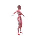 52558362093067191435231134745004918507515332583280991982809327833274434715649