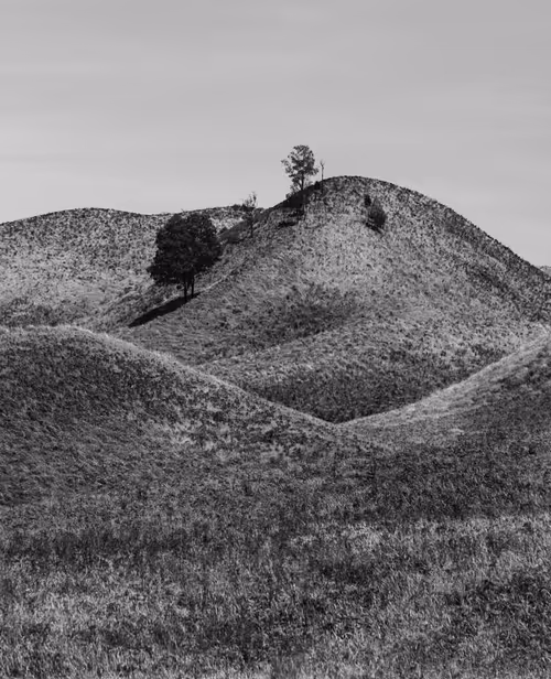 Item #97299197670576688169135242576959850036431919373710156993917717248912954228737 Media