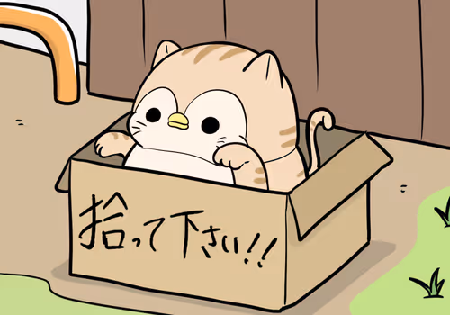 Item #34268643557793792918219847323882501487976884347208039321634746263532117950465 Media