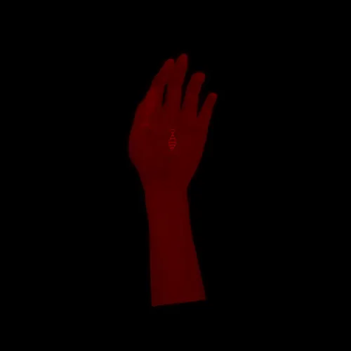 Item #51374509868160355134820606845996444164683722033440710645558628613946213400577 Media