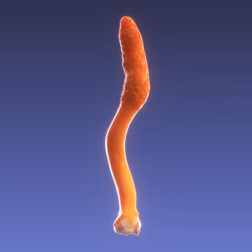 Item #95653877050150474555742155054455970472164202465768371638498213984380206972929 Media