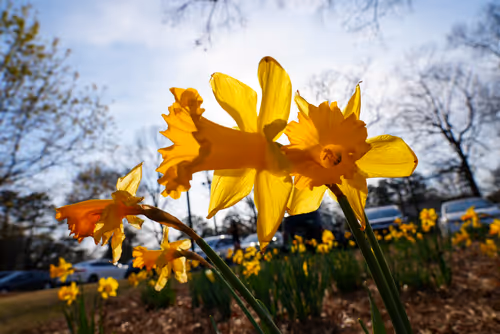 Item #104376002949691435372186332922329426885438855104179935790586764281770590339075 Media