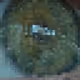 17959699856888840050182040925310005823647701860804132622466540743279197028353