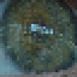 Item #17959699856888840050182040925310005823647701860804132622466540743279197028353 Media