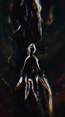 coutience Collection - old