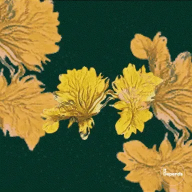 Ai Lucky Plants QGKGlimXUx