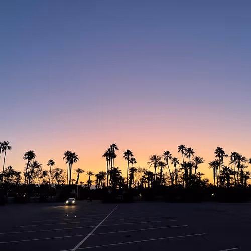 metadentist Collection