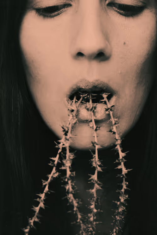 Item #98428321781240690923166413788572359424135882967629447034847431454975712034817 Media