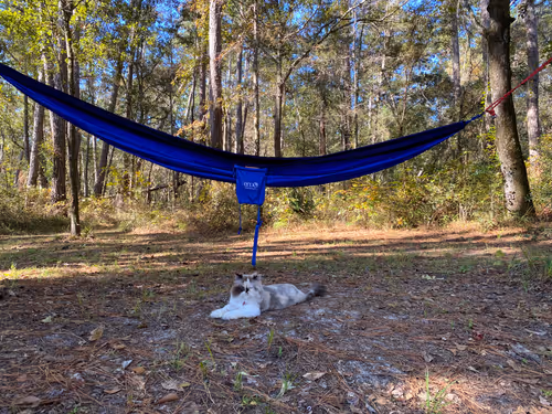 Item #88063557034118437660925886446302507819426649905583175627315428982798629732353 Media