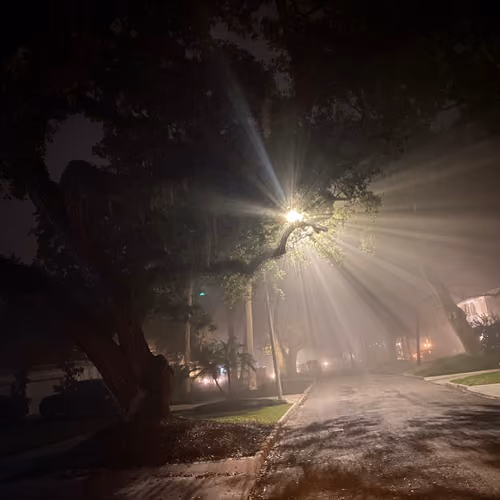 Midnight Patrol