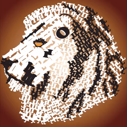 Untitled Collection #70317353