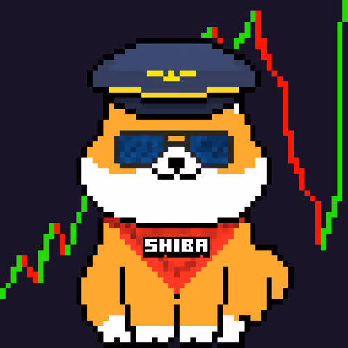 Px Shiba Inu 3