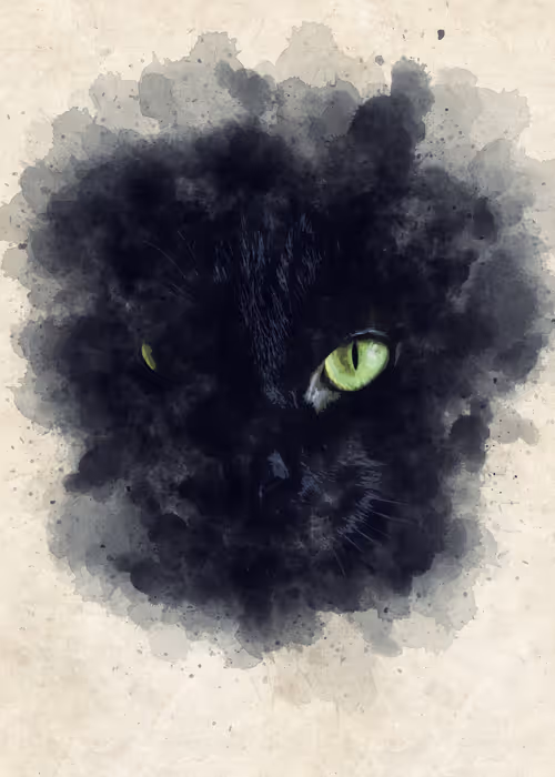 Item #15014501094177266764276721167416670682863278571620639160817117498262782214145 Media