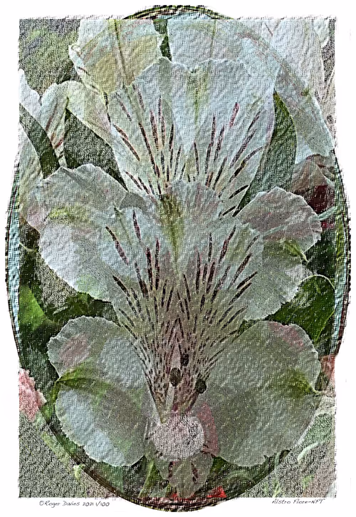 Item #6968899724388266606176016145545160509277227480062482001621938860187501723748 Media