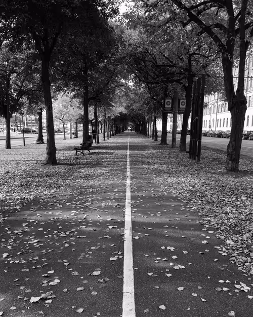 Item #18954319577998353253004349825961940133867291761371826571185822568221799088129 Media