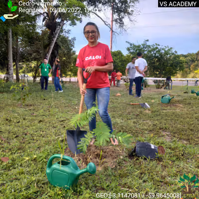 Item #8500196597889277390194123329501889087166328879864934763448348806124127911937 Media