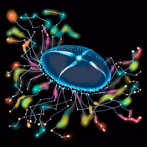 72695523464753550601147126795501667149014001806411121621206157131658542710785