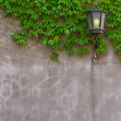 Wall number 1