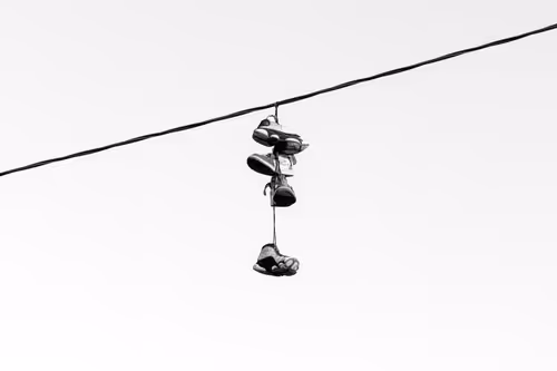 Item #44231692163325033527706634296024509461007343983716307526579858967046377177089 Media