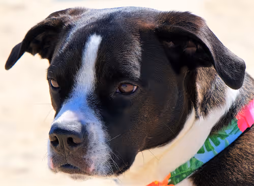 Item #60286361363657250857601775030637471218171117852543341295073303968971032100865 Media