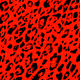 25697069651349147225308239634186523788461160578677382683261650142673380573185