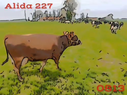 Item #106168068867162485094593885732241547229015412580842941571810197554940459614209 Media