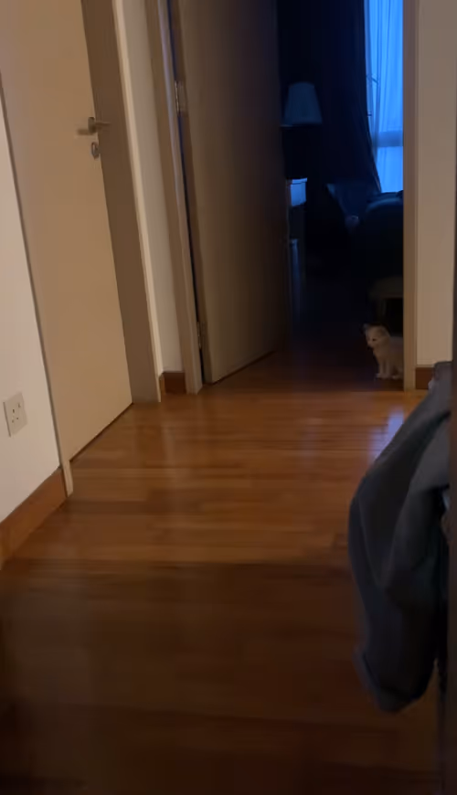 Item #8665727759412748155226687366651350766252383331957132606779190254130205556737 Media