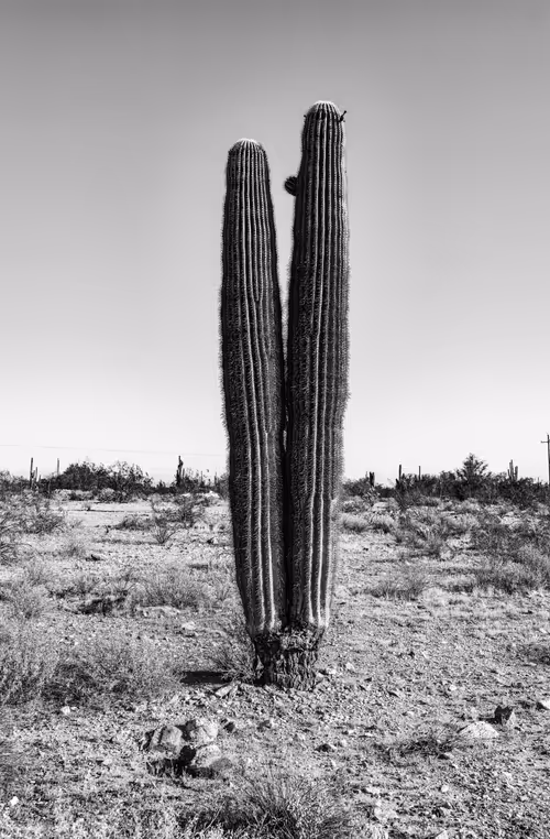 Item #33326098951146265566508462431134290695293307904352901538916508158267716796417 Media