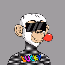 74308424634561650703765774238780906289094156261115950506277384294736775348225