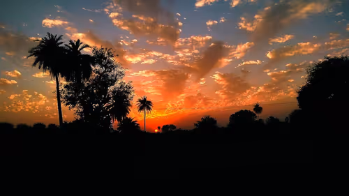 Item #59001070930207356693610520244542519614978813094874003086701142023880023474177 Media