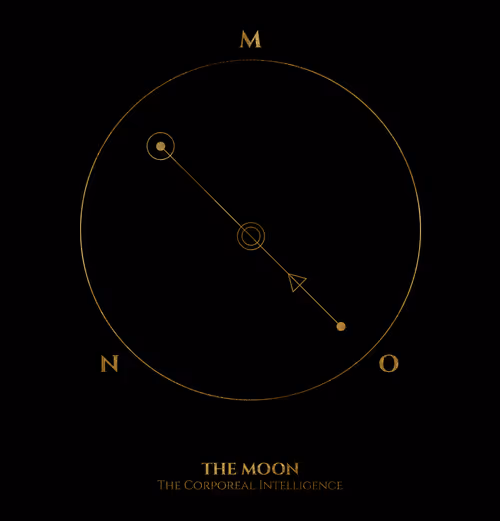 Item #11984858782512208931713693535535223698389925143184563256194137531660126650369 Media