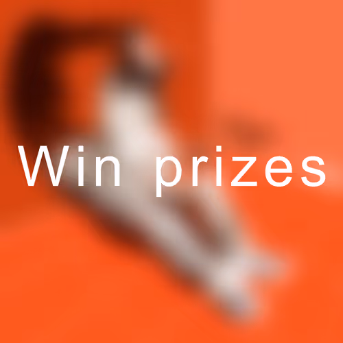 Item #43931552348347890758794991426060444469158032724124096661430021913933584007169 Media