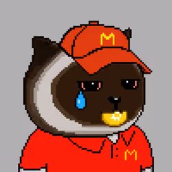 104919872742152227807235166418500170476562355609761586582247809870101141782529