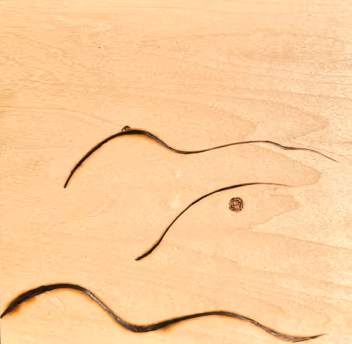 Item #37475221001438712226274964579900630529304157222794847325148496148071572307969 Media