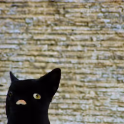 Item #110371613960935959357888473950785093405286635344299845408015399816147599622145 Media