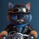 73191198427653955490799142725820499091822591210209210336512917121576850161665
