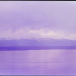 Golden Gardens