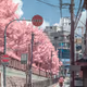 Pink Delivery