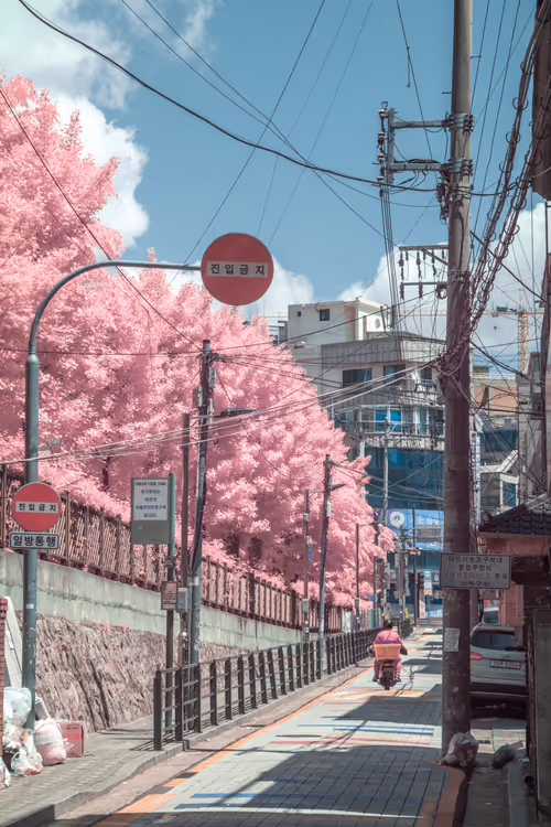 Item #51038767389134457626930617169090287934471579480777975785156342572209336745985 Media