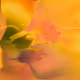 95689941596734269046343164368724344753868622255049272797371111920495912550401