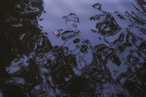 Item #19933179109955283826433224080904721000141254705246350990060094038422893625345 Media