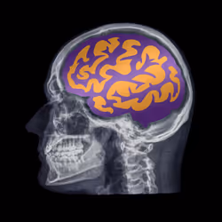 24230885534779484670501703553684953274983737514794072512407783981856583581706