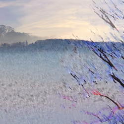 Winter Tree