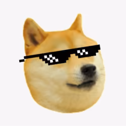 Papa Doge