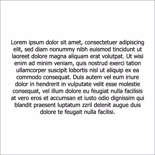 Times New Roman