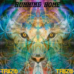 Running Home - Triizo